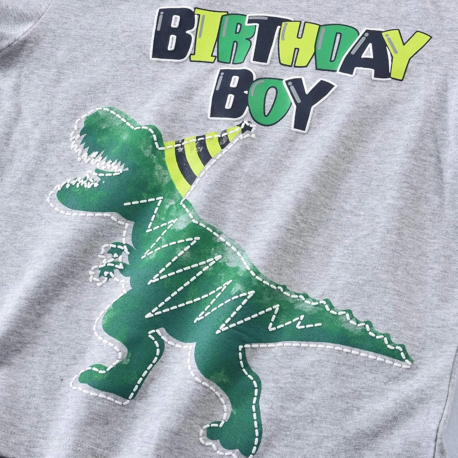 Dinosaur Birthday Boy T-Shirt - B-Day Dino Party T-Rex Top - Cotton Toddler Tee - Gray Short Sleeve Outfit