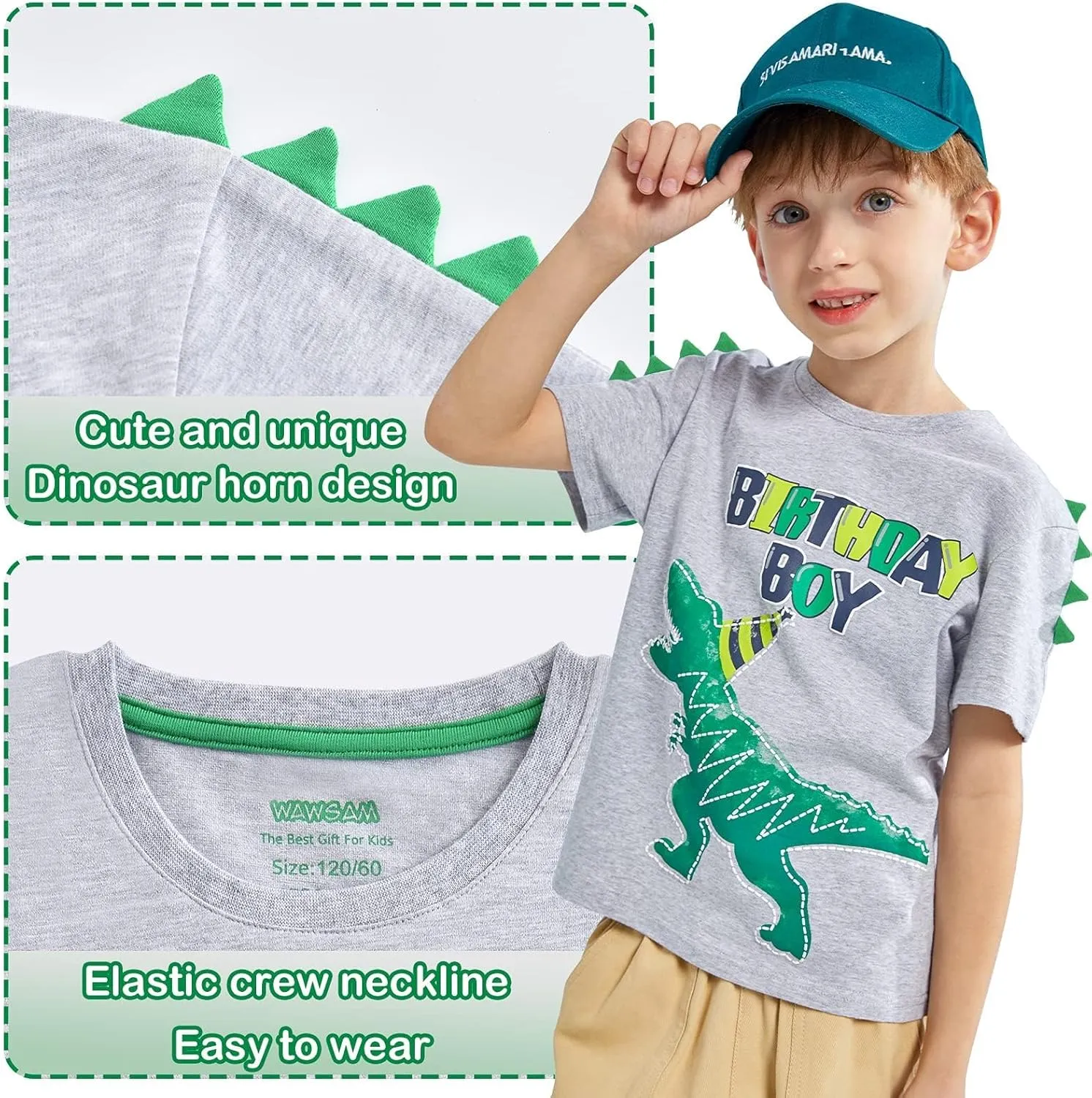 Dinosaur Birthday Boy T-Shirt - B-Day Dino Party T-Rex Top - Cotton Toddler Tee - Gray Short Sleeve Outfit