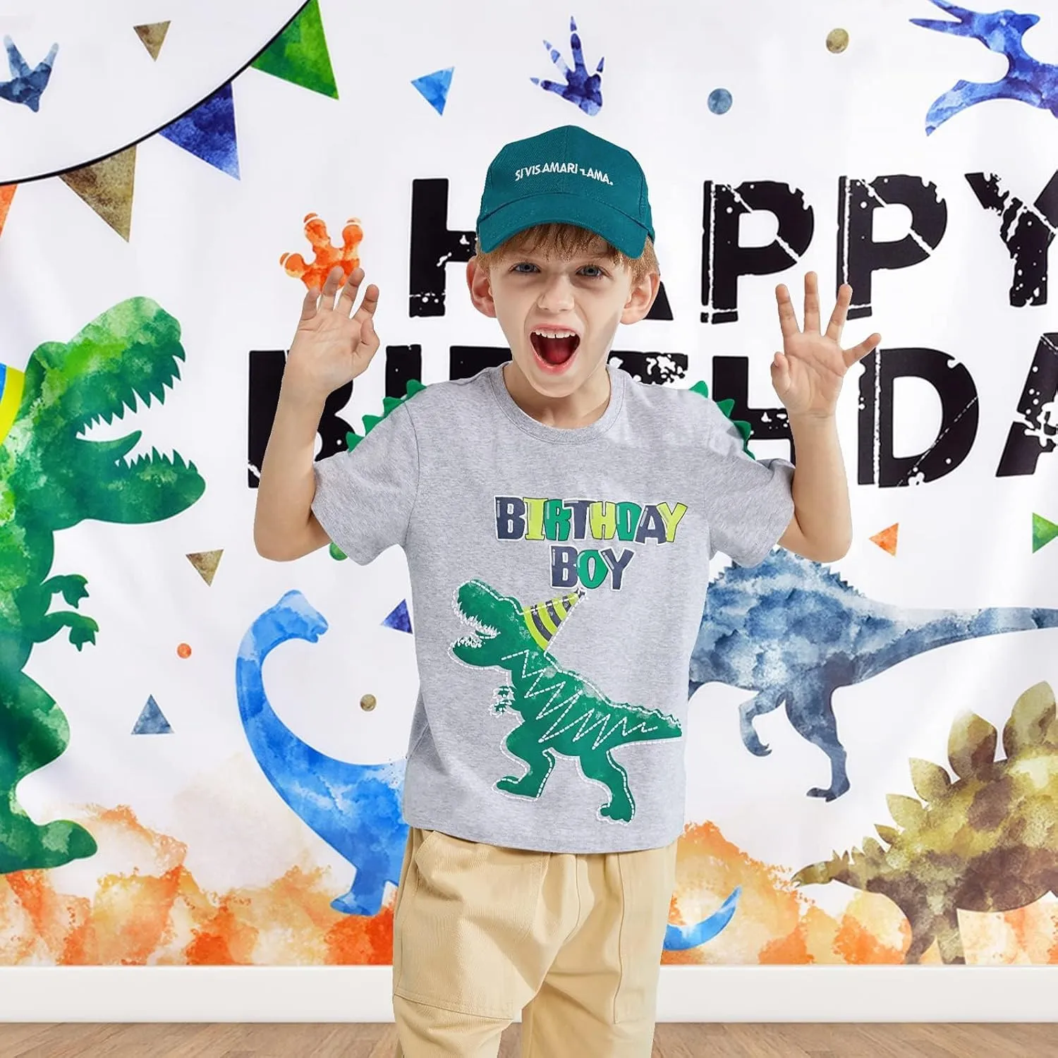 Dinosaur Birthday Boy T-Shirt - B-Day Dino Party T-Rex Top - Cotton Toddler Tee - Gray Short Sleeve Outfit